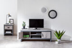 Boston 2 Door TV Unit - Image 2